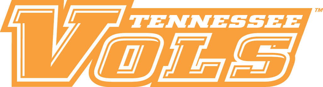 Tennessee Volunteers 2005-Pres Wordmark Logo v3 iron on transfers for T-shirts